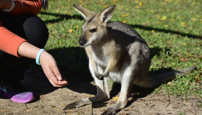 欧盟立法者投票削减杀虫剂的使用 欧盟立法者投票削减杀虫剂的使用