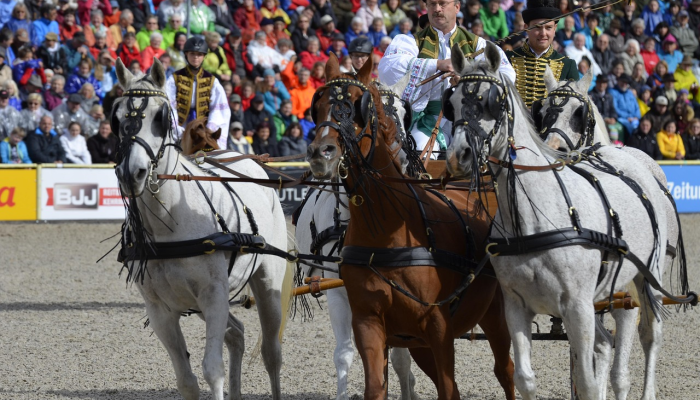 阿塞拜疆领导人在卡拉巴赫首都升起国旗