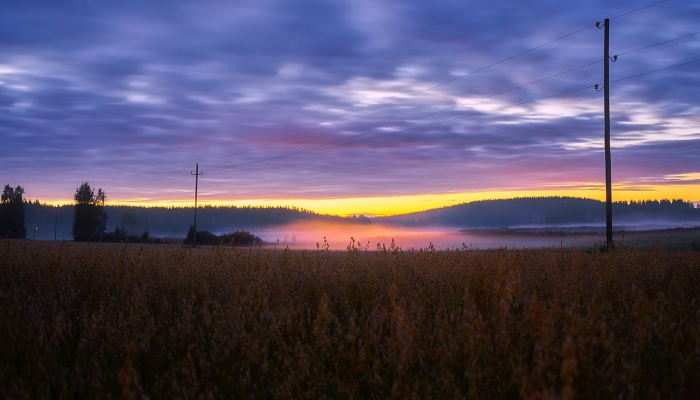 阿肯色官员称，吃脑阿米巴原虫的死亡源于乡村俱乐部的水花垫