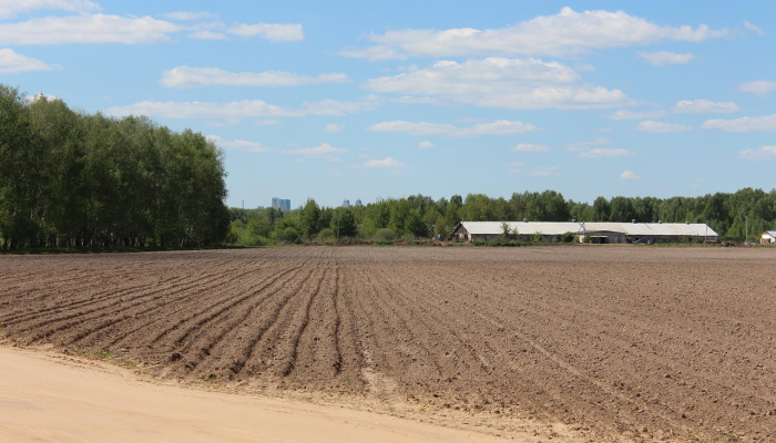 位于班顿(Bandon)附近占地91英亩的农场已经有人出价170多万欧元