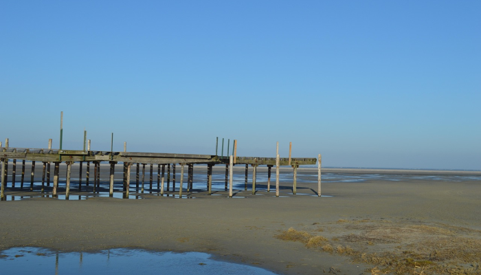 首先来看看苹果在巴特西发电站壮观的办公室