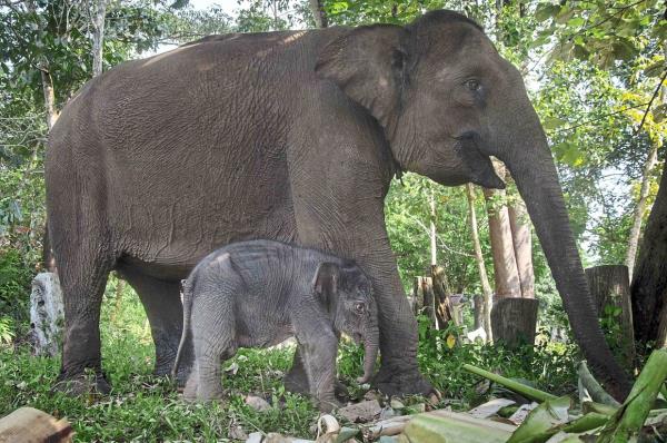 推荐一款”多乐跑胡子可以开挂吗”(原来确实是有挂) 推荐一款”多乐跑胡子可以开挂吗”(原来确实是有挂)