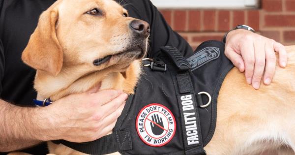 教程辅助!“新玉海楼茶苑有挂吗!分享用挂教程 教程辅助!“新玉海楼茶苑有挂吗!分享用挂教程