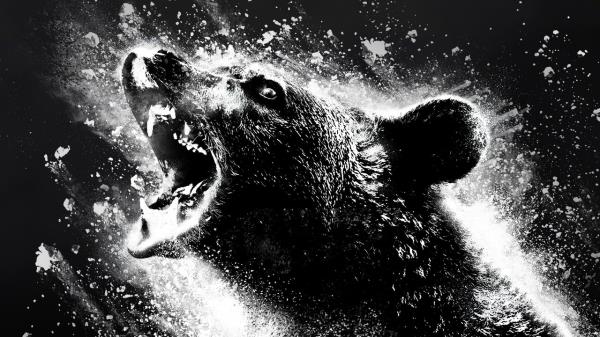 辅助神器“宝龙互娱怎么开挂”开挂(透视)辅助教程