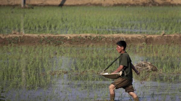 辅助神器“微乐四川麻将外卦神器下载安装安卓”详细开挂玩法 辅助神器“微乐四川麻将外卦神器下载安装安卓”详细开挂玩法