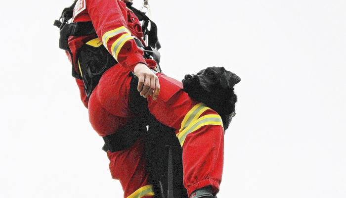 万能开挂辅助“新老夫子免费开挂的软件”(曝光透视必备猫腻) 万能开挂辅助“新老夫子免费开挂的软件”(曝光透视必备猫腻)