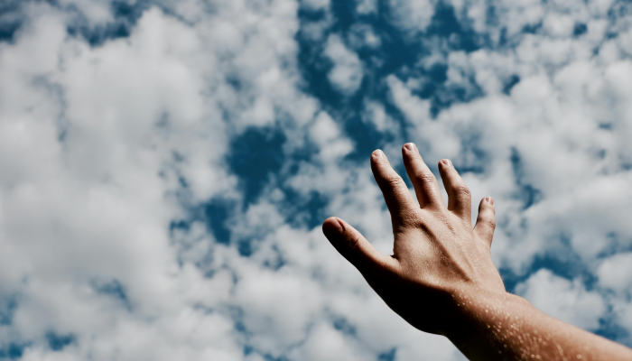 评论：Netflix的电梯是荒谬的，但仍然很有趣