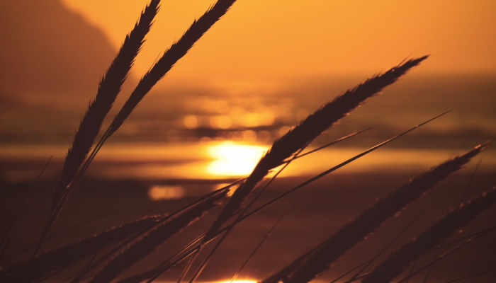 随着雪、冰和冻雨的临近,美国东部和新英格兰地区的居民都在躲避 随着雪、冰和冻雨的临近,美国东部和新英格兰地区的居民都在躲避