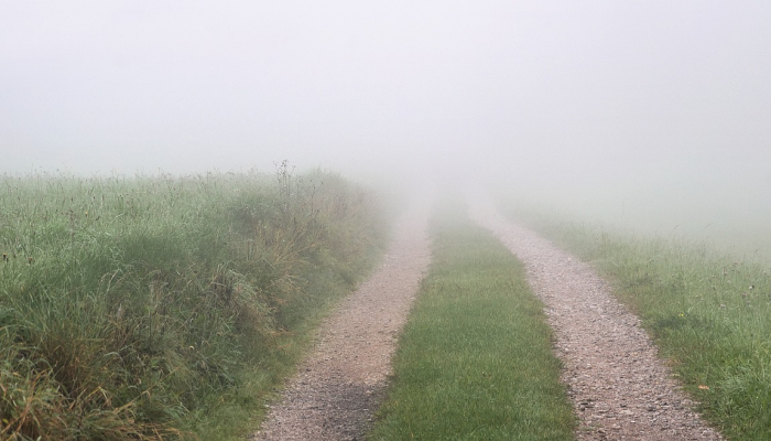 经济动态,中期选举以及推特的未来| Hot off the Wire播客 经济动态,中期选举以及推特的未来| Hot off the Wire播客