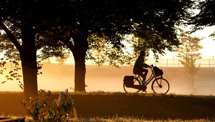 可用版本“新人皇牛牛有挂吗!详细分享装挂步骤