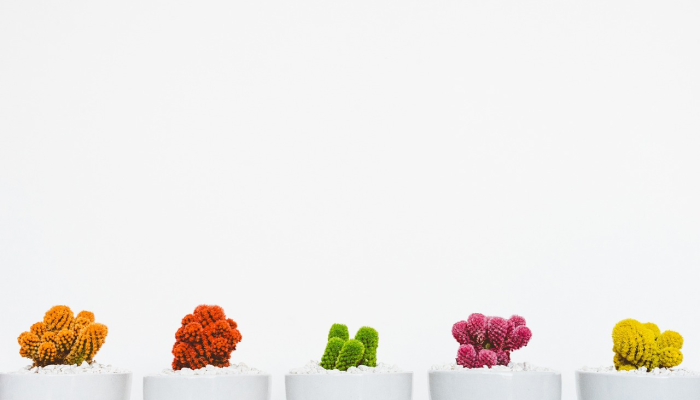 网上购买奢侈品已经不再流行 网上购买奢侈品已经不再流行