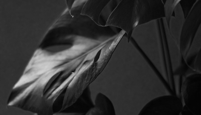 苏纳克的托利党惨败，但他没有在补选中粉饰自己