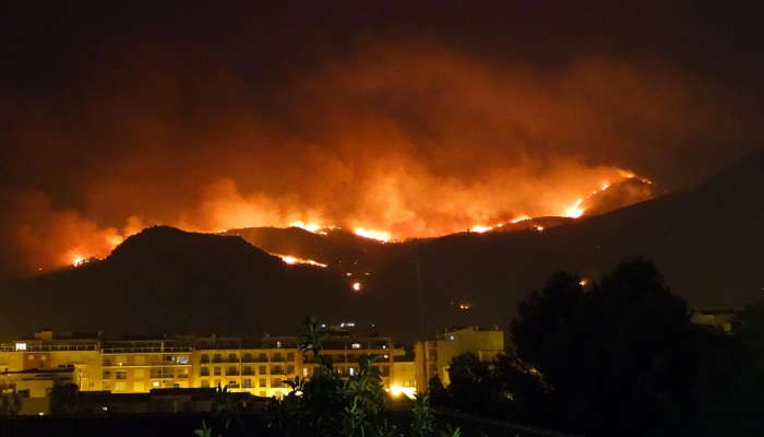 毛伊岛紧急事务官员因火灾期间未拉响警报而辞职 毛伊岛紧急事务官员因火灾期间未拉响警报而辞职