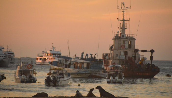 海地:部分地区97%的家庭遭受严重饥饿 海地:部分地区97%的家庭遭受严重饥饿
