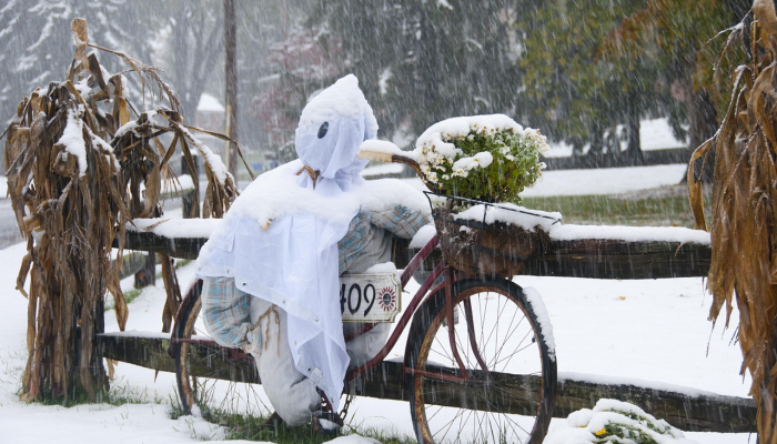 斯利那加创下季节最冷的夜晚，最低温度达到零下4.6摄氏度