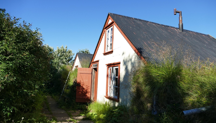 玩家辅助神器：“鸿运十三张有挂吗!详细分享装挂步骤