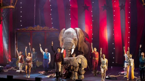 来吧，来吧，马戏团回来了