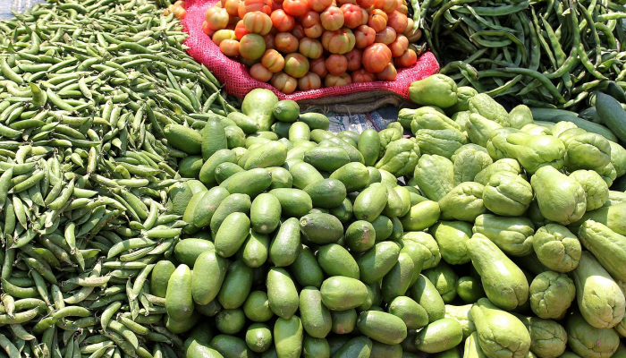 瓦基夫集市两天内就卖出了2万多公斤印度芒果