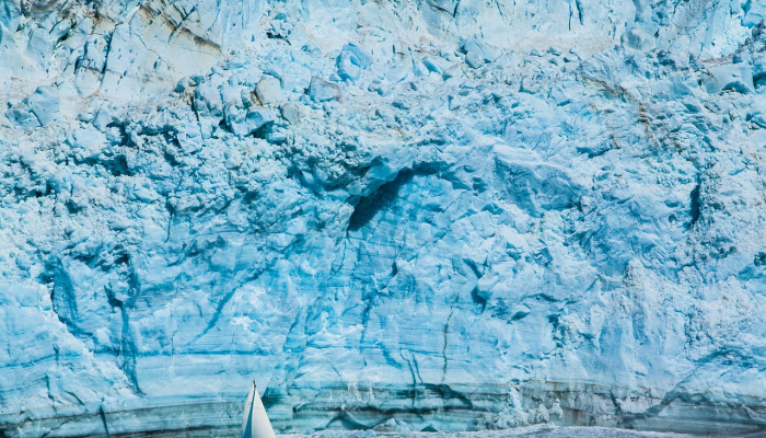 最新教你“微乐山东麻将开挂神器”(原来确实是有挂) 最新教你“微乐山东麻将开挂神器”(原来确实是有挂)