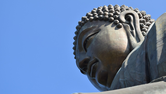 狮子在最后的出价中突破了佩恩的障碍 狮子在最后的出价中突破了佩恩的障碍