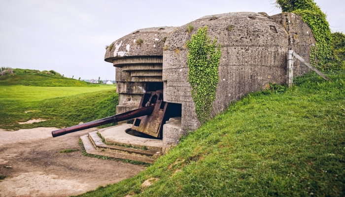 联合国报告称，海地帮派战争在主要农田造成“灾难性”