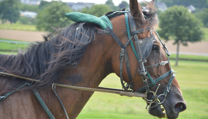 辅助神器“先锋大厅透视开挂”其实确实有挂 辅助神器“先锋大厅透视开挂”其实确实有挂