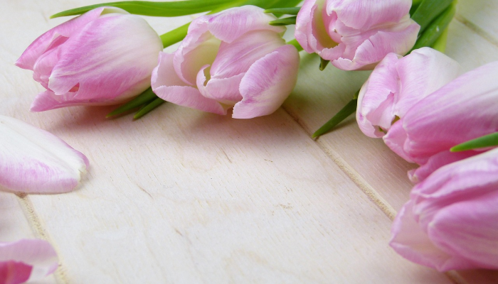 花商将鲜花作为情人节礼物送给数百名寡妇