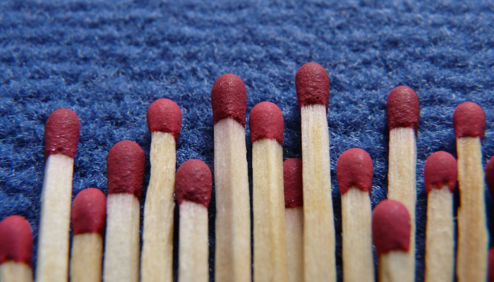 生活在另一片土地上是一种礼物和教育