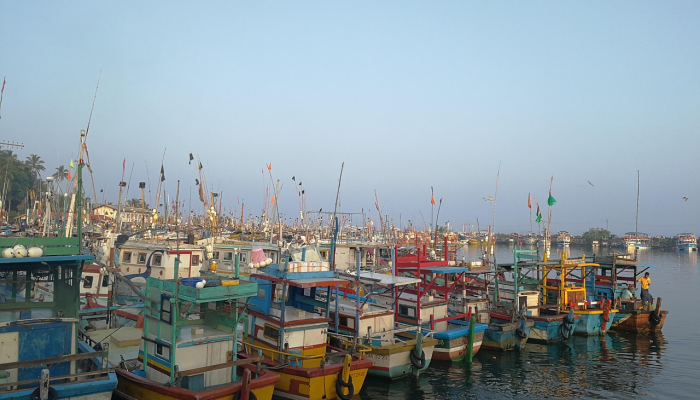 访问斯里兰卡的英国游客数量创历史新高 访问斯里兰卡的英国游客数量创历史新高