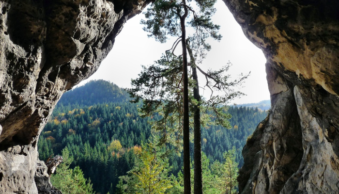 第370条判决：最高法院指示ECI在2024年9月之前在查谟克什米尔进行民意调查