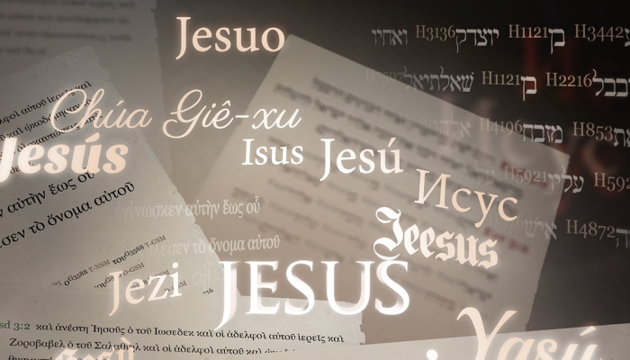 最新教你“春天扑克牌怎么开挂”详细开挂玩法