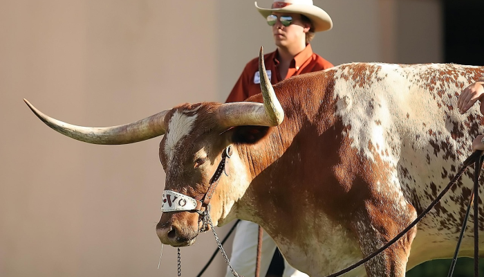 德州游骑兵队赢得有史以来第一个世界大赛冠军