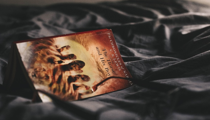 法国黑客被美国监禁