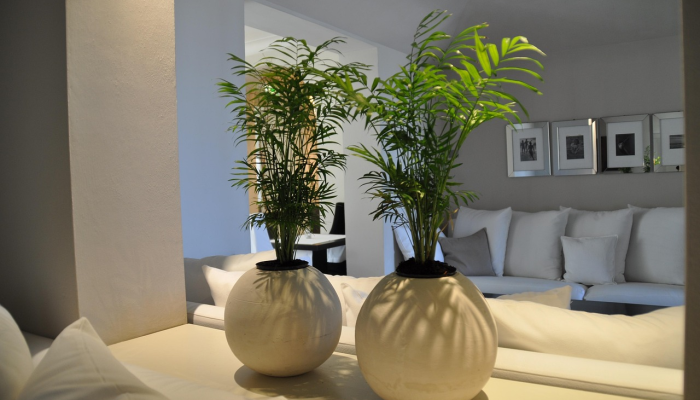 最新教你“天酷大厅可以开挂吗”(原来确实是有挂) 最新教你“天酷大厅可以开挂吗”(原来确实是有挂)