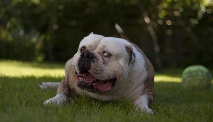 教程辅助!“暗宝游戏透视”分享用挂教程 教程辅助!“暗宝游戏透视”分享用挂教程