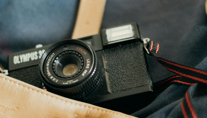 1分钟学会“椰子乐动透视”详细开挂玩法