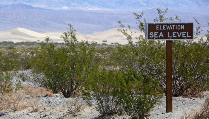 可用版本“极酷大厅有挂”分享用挂教程 可用版本“极酷大厅有挂”分享用挂教程