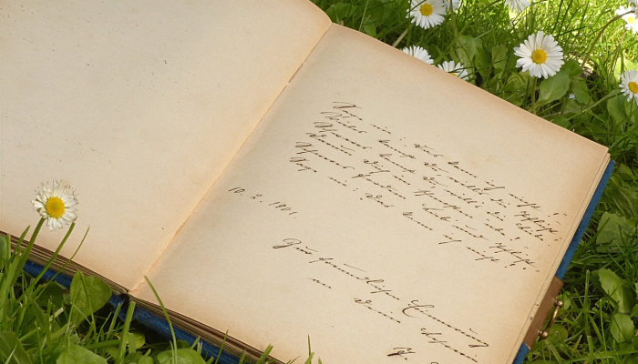 记录十七岁的9年旅程的专辑发行 记录十七岁的9年旅程的专辑发行