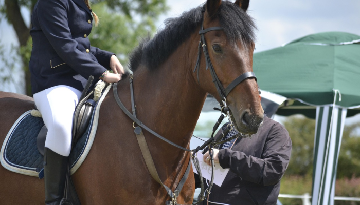 泰勒·斯威夫特的时代之旅电影吓得魔鬼出来的一个主要票房竞争对手 泰勒·斯威夫特的时代之旅电影吓得魔鬼出来的一个主要票房竞争对手