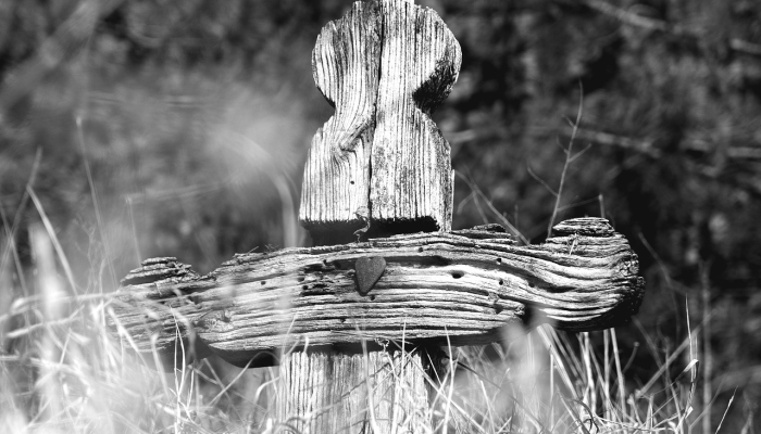 女儿被流弹打死的母亲为改变而战:“够了” 女儿被流弹打死的母亲为改变而战:“够了”