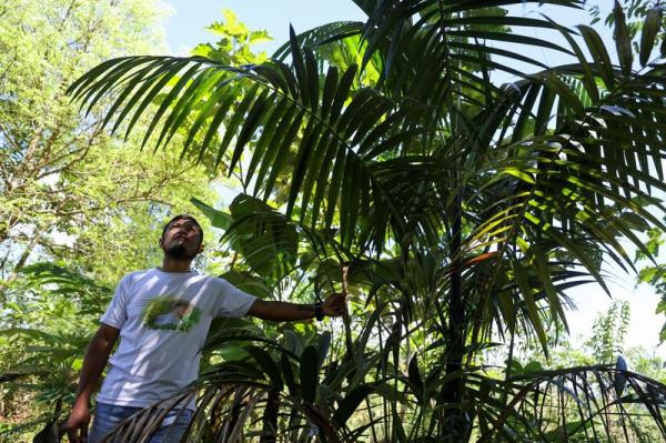 活动人士的杀戮如何损害了哥伦比亚的环境保护 活动人士的杀戮如何损害了哥伦比亚的环境保护