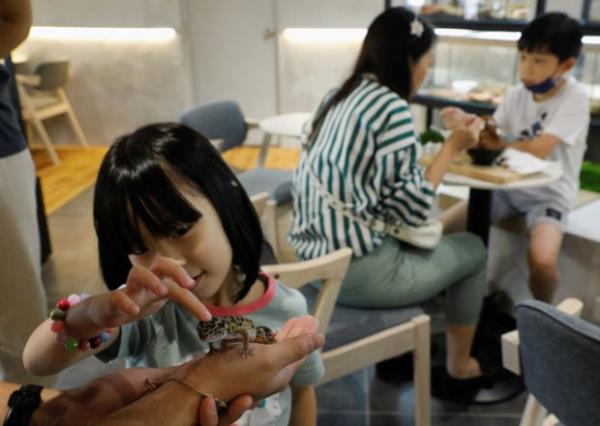 蛇、蜥蜴和甜点在马来西亚第一家爬行动物咖啡馆相遇 蛇、蜥蜴和甜点在马来西亚第一家爬行动物咖啡馆相遇