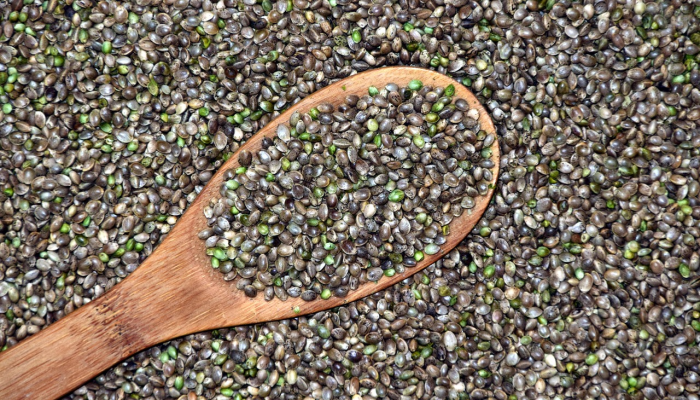 推荐一款”桂麻圈怎么开挂”(原来确实是有挂)