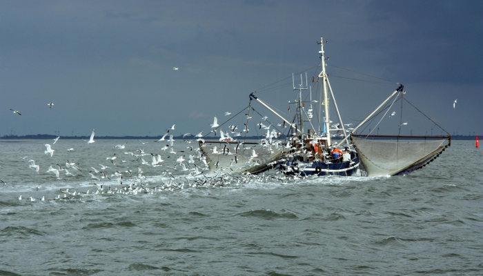 俄亥俄州东巴勒斯坦，火车脱轨：视频显示“恶心”的水