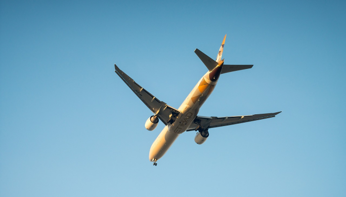 油籽植物能成为未来更环保的航空燃料吗? 油籽植物能成为未来更环保的航空燃料吗?