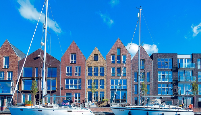 澳大利亚人芬利·比勒姆在爱尔兰绿中随着年龄的增长而进步 澳大利亚人芬利·比勒姆在爱尔兰绿中随着年龄的增长而进步