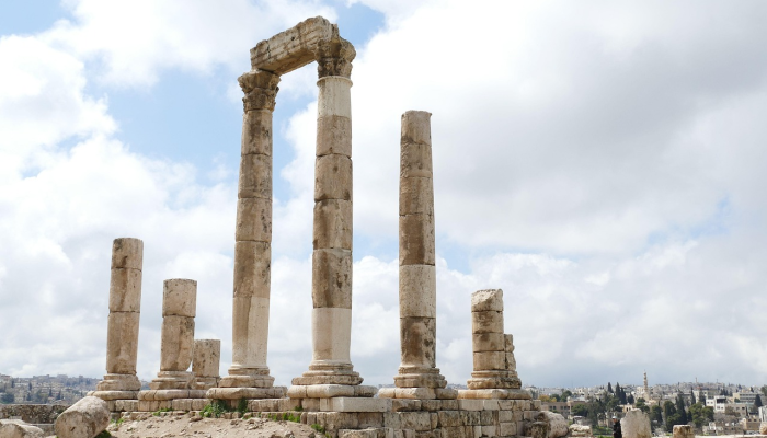 新的分析揭示了古罗马铁器时代坟墓中发现的海龟遗骸之谜 新的分析揭示了古罗马铁器时代坟墓中发现的海龟遗骸之谜