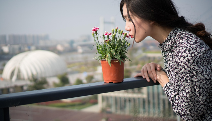 我不会再给他时间了《单身女郎》回应的是她送回家的一个男人 我不会再给他时间了《单身女郎》回应的是她送回家的一个男人