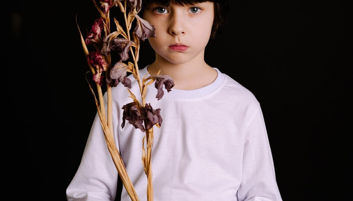 史蒂芬·金的《黑暗塔》由迈克·弗拉纳根主演