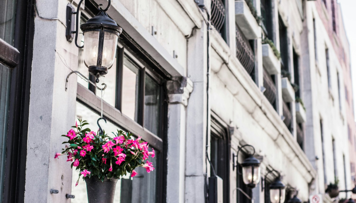 推荐一款”宁波世纪茶馆有挂吗!分享用挂教程